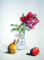 Rose 9 x 14